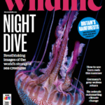 مجله خارجی حیات وحش BBC Countrylife (1)