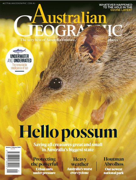 مجله-خارجی-طبیعت-و-حیات-وحش-استرالیا