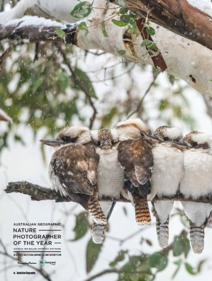 خرید مجله-طبیعت-و-حیات-وحش-استرالیا-Australian-Geographic