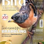خرید مجله خارجی تماشای پرندگان Bird Watching 