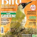 خرید مجله خارجی تماشای پرندگان Bird Watching 