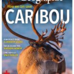  خرید مجله خارجی حیات وحش کانادا Canadian Geographic